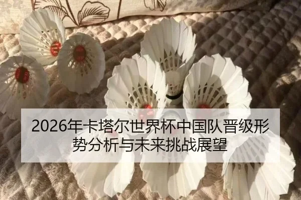 nian-ka-ta-er-shi-jie-bei-zhong-guo-dui-jin-ji-xing-shi-fen-xi-yu-wei-lai-tiao-zhan-zhan-wang-2-228.jpg
