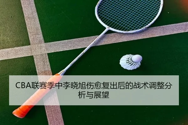 CBA联赛季中李晓旭伤愈复出后的战术调整分析与展望